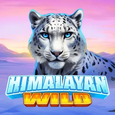 DU88 Himalayan Wild
